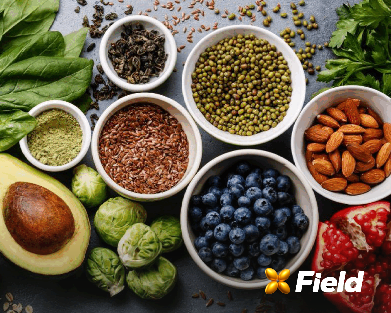A Revolução Plant-Based: Importância na Alimentação Mundial e Oportunidades para o Mercado de Pulses