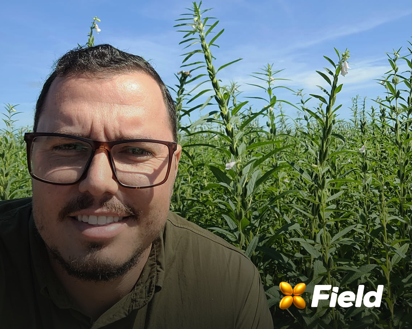 Cultivando o futuro: Bioinsumos impulsionam a produção de pulses e gergelim