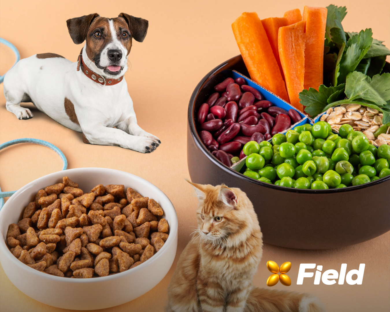 Pulses na nutrição de cães e gatos